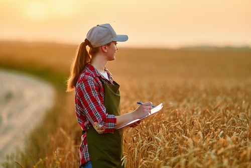 Woman,Farmer,Agronomist,Working,In,Grain,Field,And,Planning,Income